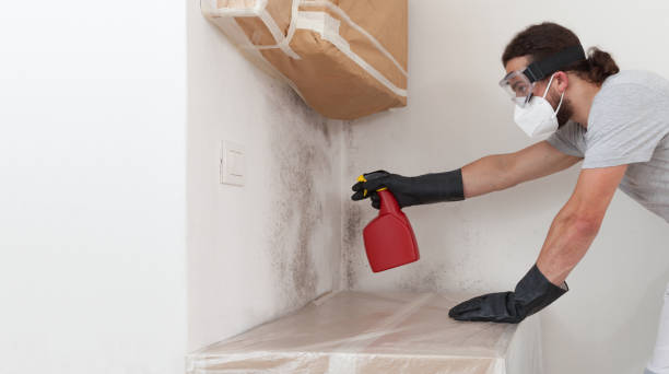 Professional Mold Cleanup technician working in Huntington Station, NY