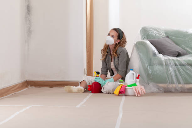 Reliable Mold Cleanup contractor in Huntington Station, NY by WQB Mold Removal
